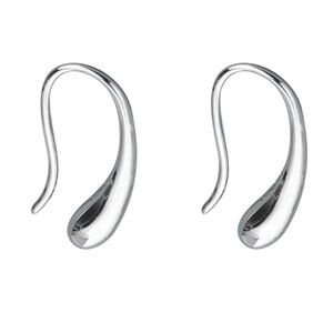 925 Sterling Silver Water Drop Fish Hook Earrings